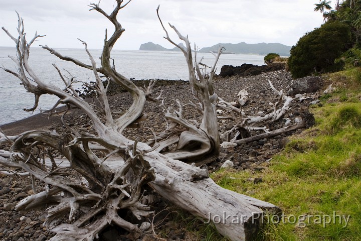 Lord Howe Island_20061211_001.jpg